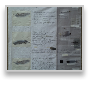 collage image title